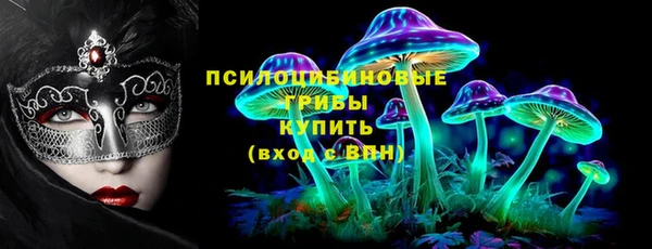 дурь Богданович